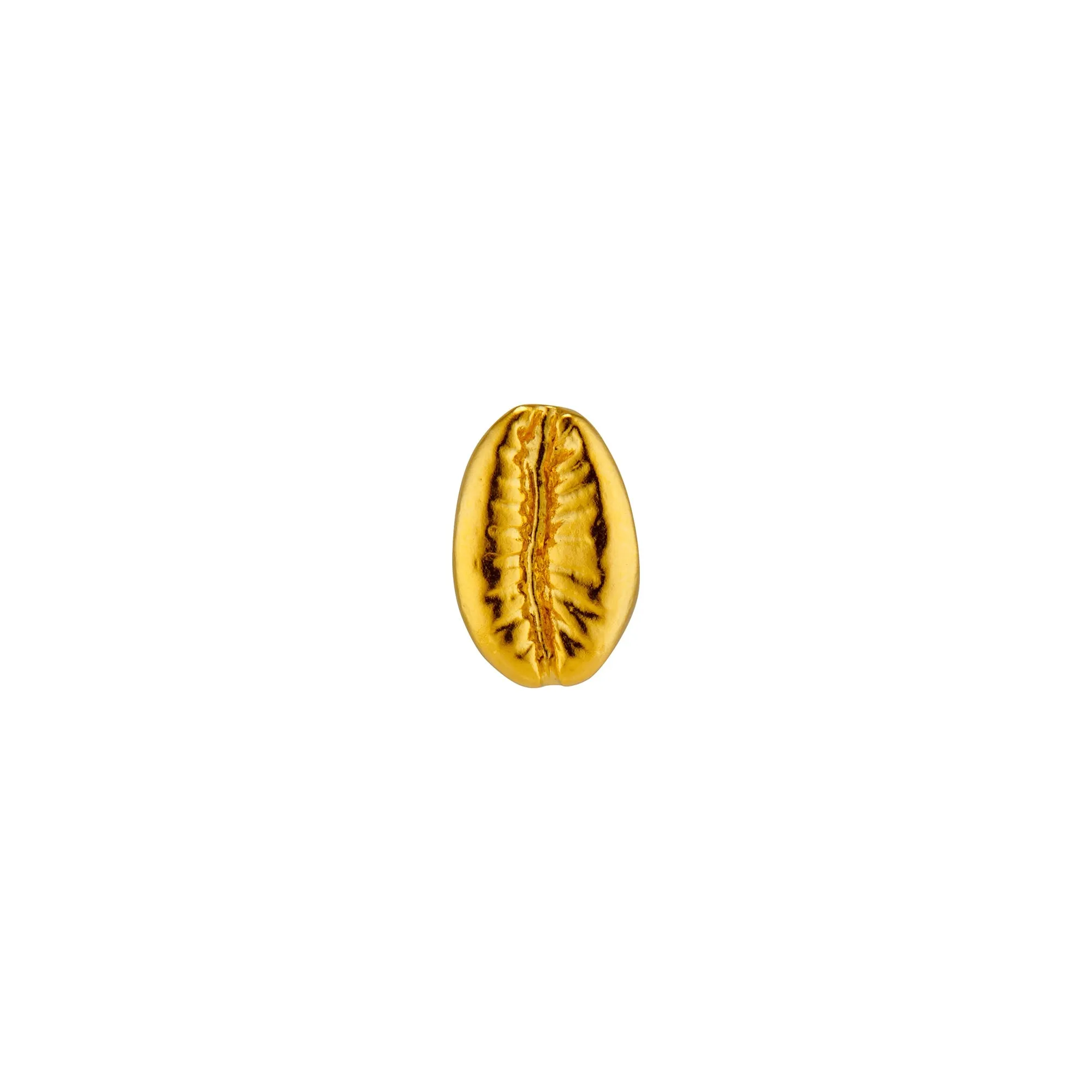 Cowry Shell Charm